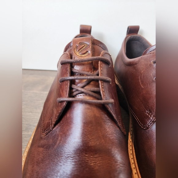 Ecco - Picture 3 of 16